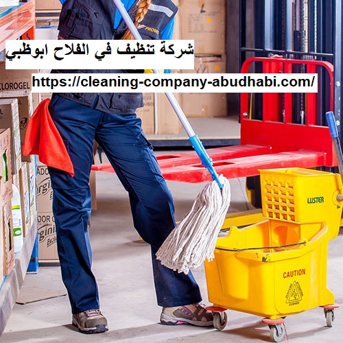 شركة تنظيف في الفلاح ابوظبي