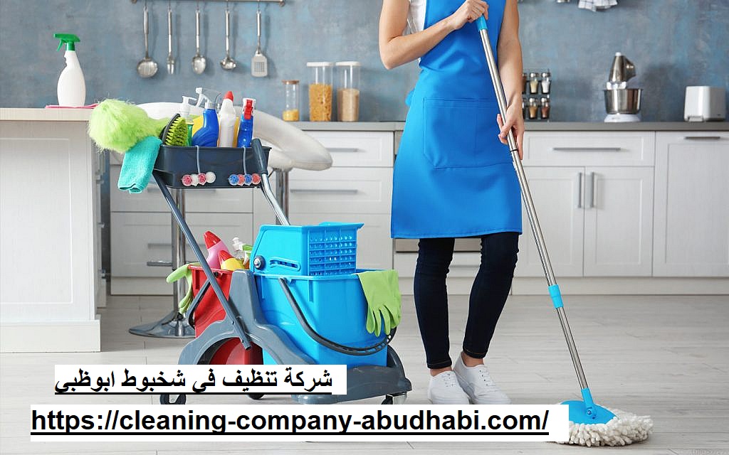 شركة تنظيف في شخبوط ابوظبي