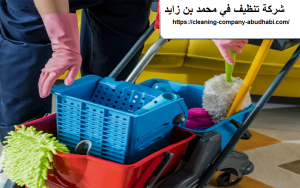 شركة تنظيف في محمد بن زايد